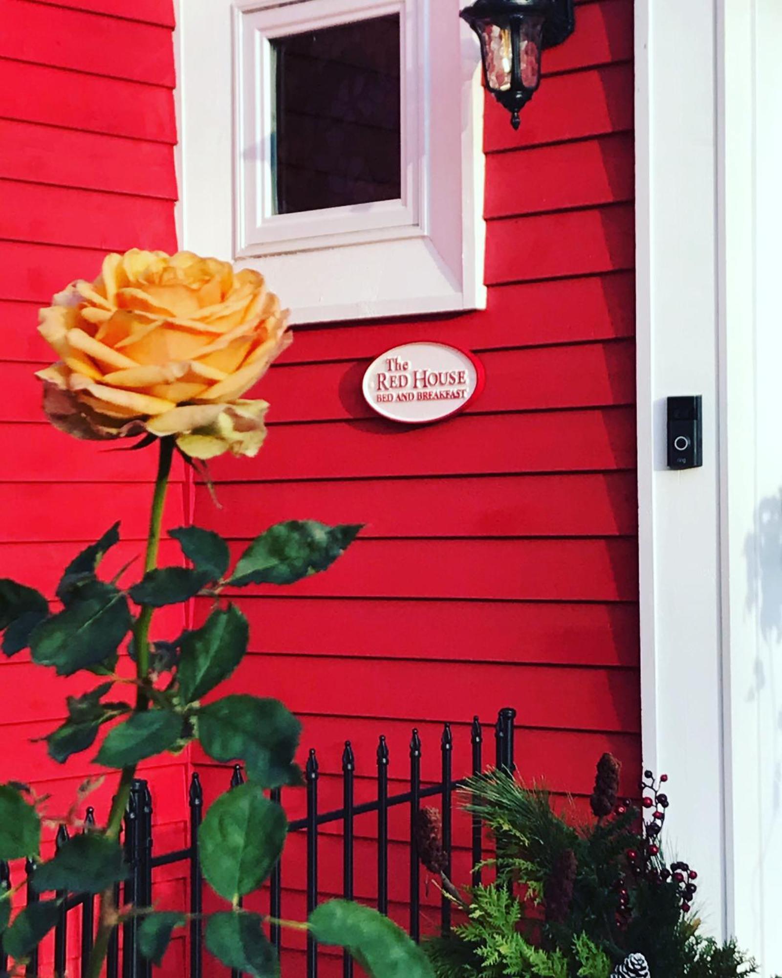 The Red House Fredericton Bed and Breakfast Exteriör bild